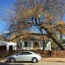 curving tree with winter foliage frames house and car